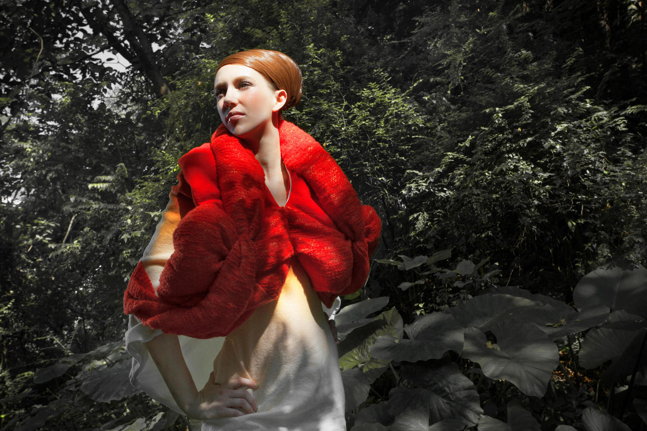 Photography - Dryad